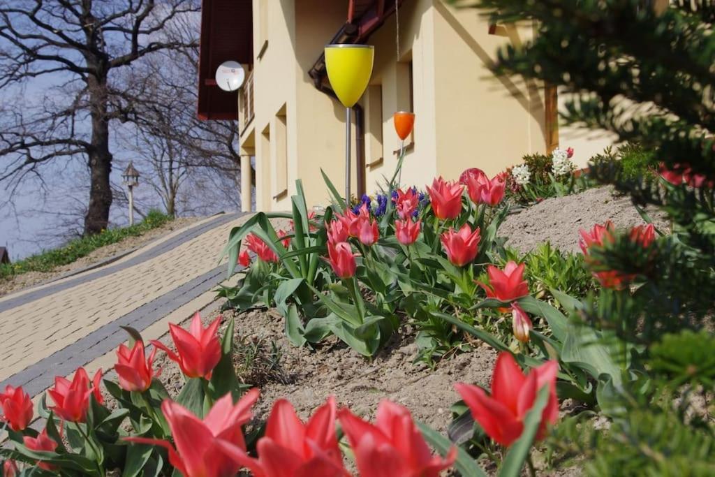 Apartament Zacisze Ustroń Buitenkant foto