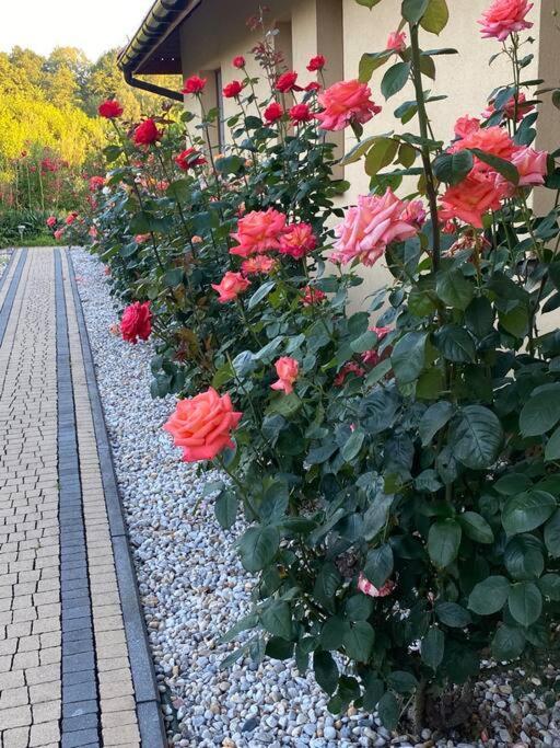 Apartament Zacisze Ustroń Buitenkant foto